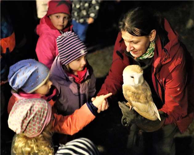 Alle Kinder durften am Ende der nächtlichen Waldexkursion die Schleiereule Charly streichen.Foto: WWV, Uli Schmidt