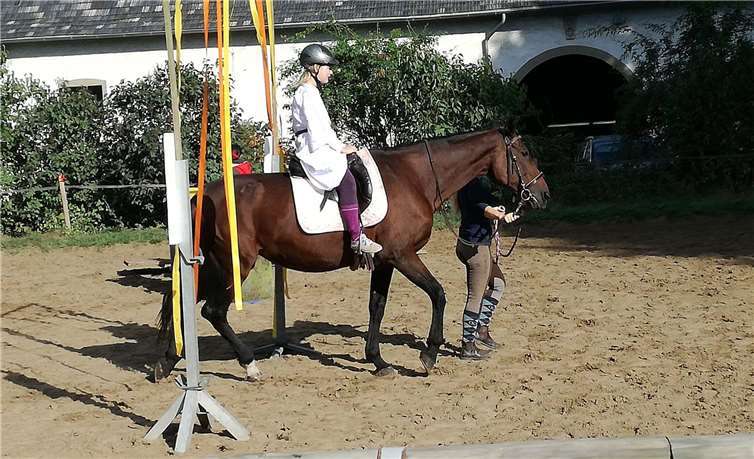 Alle Reiter wurden mit Schleifen ausgezeichnet.privat