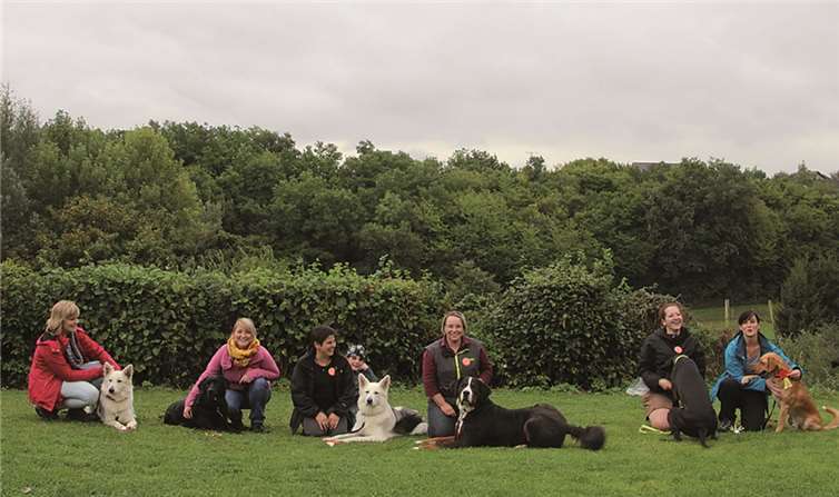 Alle Teilnehmer haben den BHV-Hundeführerschein erhalten.privat