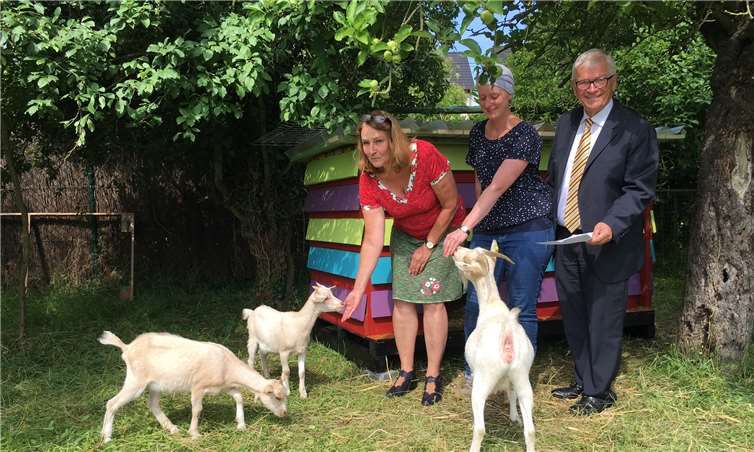Alles im „Grünen Bereich“: Bürgermeister Gerhard Hausen, KITA-Mitarbeiterin Christine Maria Simons, Spezialistin für tiergestützte Pädagogik und die Leiterin des Unkeler Marienkindergartens Silvia Hummerich-Holderer (v.re.n.li.) freuen sich, die neuen Gäste auf ihrer Weide begrüßen zu können. Thomas Herschbach