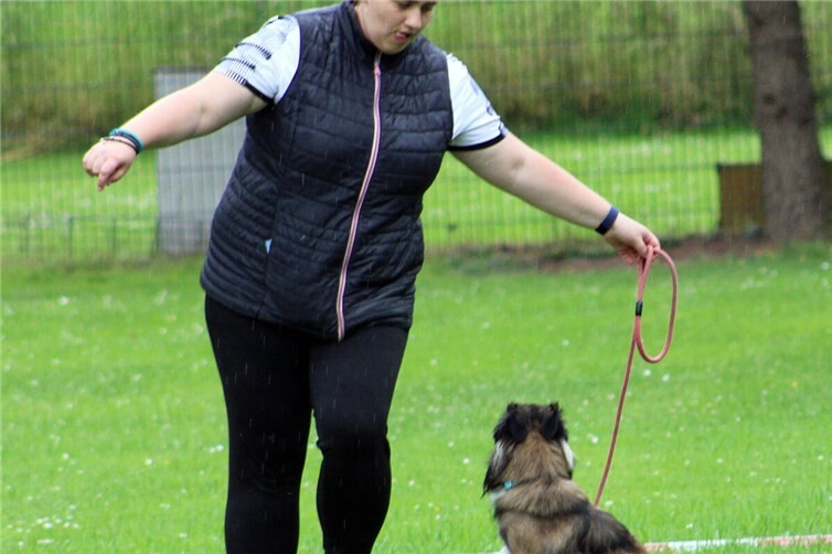 Erfolgreiches Rally Obedience Turnier mit 60 Startern