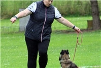 Erfolgreiches Rally Obedience Turnier mit 60 Startern