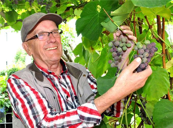 Aloys Krämer hat seiner Liebe zum Wein ein literarisches Denkmal gesetzt. Foto: BS