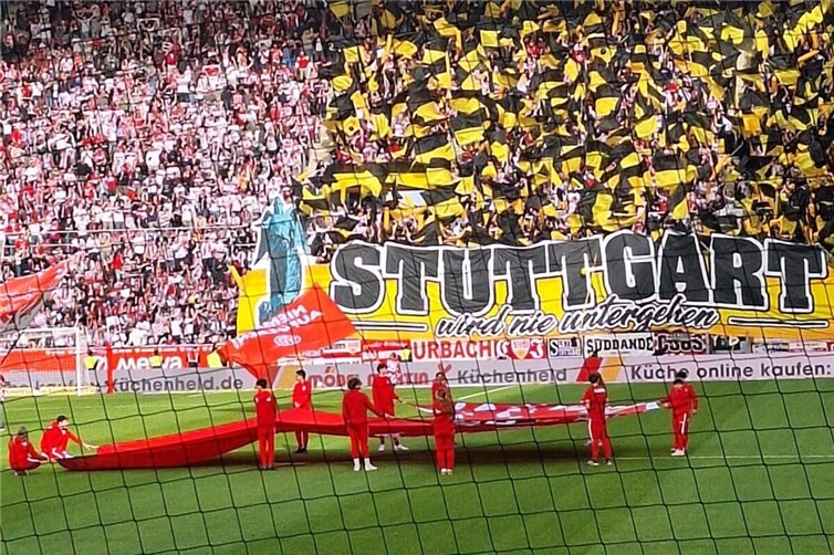 Als Balljungen im Einsatz.