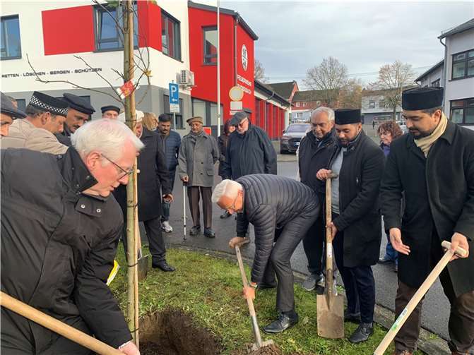 Als Geste für Frieden und Freundschaft hat Landrat Achim Hallerbach gemeinsam mit der Ahmadiyya-Gemeinde in Puderbach einen Baum gepflanzt.  Foto: Kreisverwaltung Neuwied