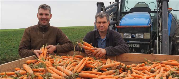 Als Pioniere im Spargel bekannt, wagten sie sich in diesem Jahr an den Anbau von Möhren.privat