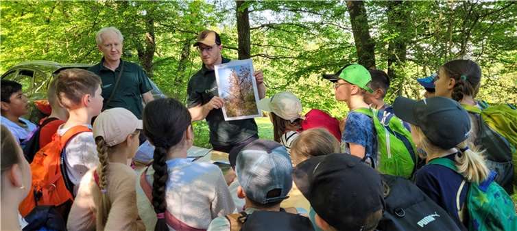 Als Standortsieger ging die Klasse 3a der Grundschule Adenau hervor. Foto: privat