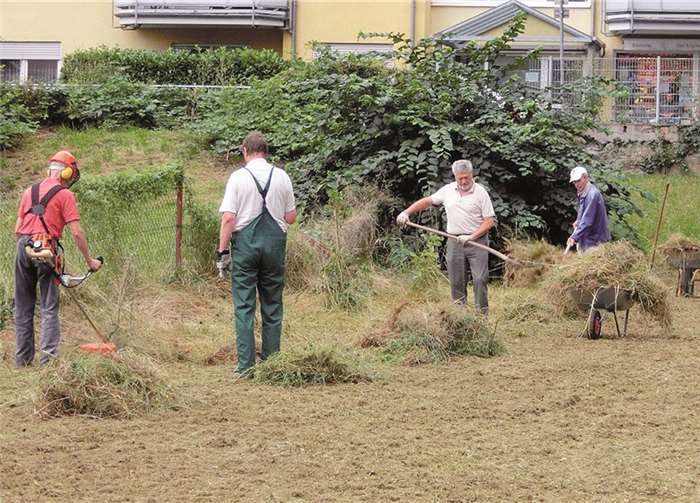 Als sehr mühsam erwiesen sich die Arbeiten auf der Wildblumenwiese am Stadtpark. privat