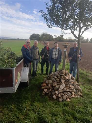 Alt trifft Neu: Alte Apfelsorten in moderner Landschaftspflege. Foto: privat