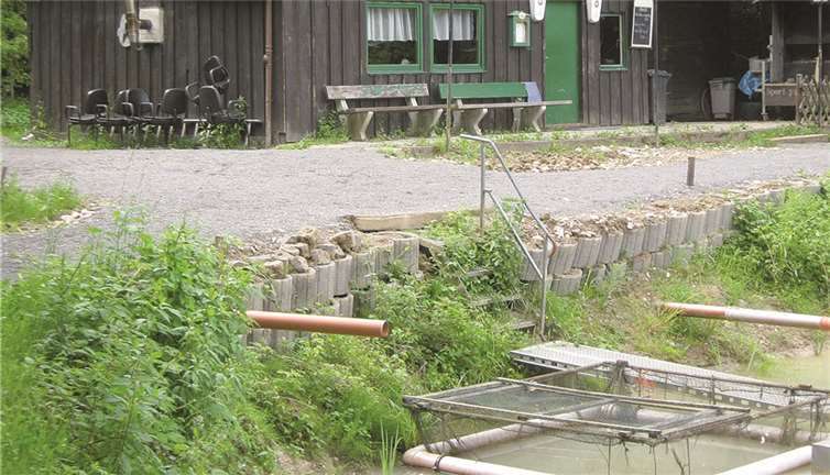 Am 1. September sind alle Angelfreunde eingeladen, an der Vereinsanlage zu fischen. privat