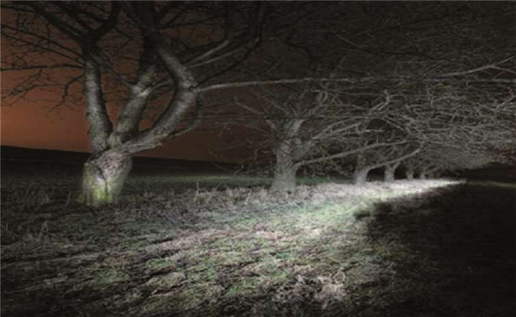 Am 11. Mai wird auch die Ausstellung zum Thema „Nachlandschaften“ eröffnet. privat