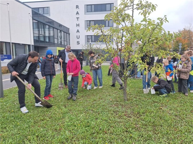 Am 17.10.2025 packten alle gemeinsam für den Erhalt der Artenvielfalt an. Die Pflanzaktion bildete Höhepunkt und Abschluss der NABU-Herbst-Waldwoche 2025 zum Thema Zugvögel.Foto: privat