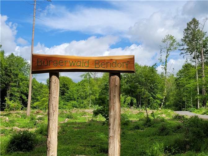 Am 21. Oktober findet wieder eine Pflanzaktion im Bendorfer Bürgerwald statt.  Foto: Stadt Bendorf