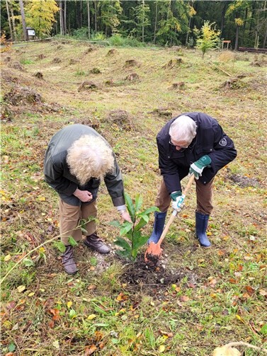 Am 22. Oktober findet die nächste Pflanzaktion für den Bürgerwald am Sträßchen statt.  Foto: Stadt Bendorf
