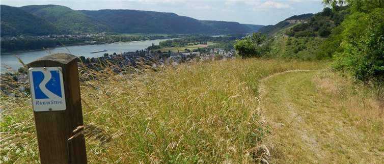 Am 26. Juli 2015 geht es von Rengsdorf bis Leutesdorf. Foto: privat
