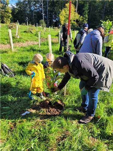 Am 26. Oktober findet wieder eine Pflanzaktion im Bendorfer Bürgerwald statt.  Foto: Stadt Bendorf