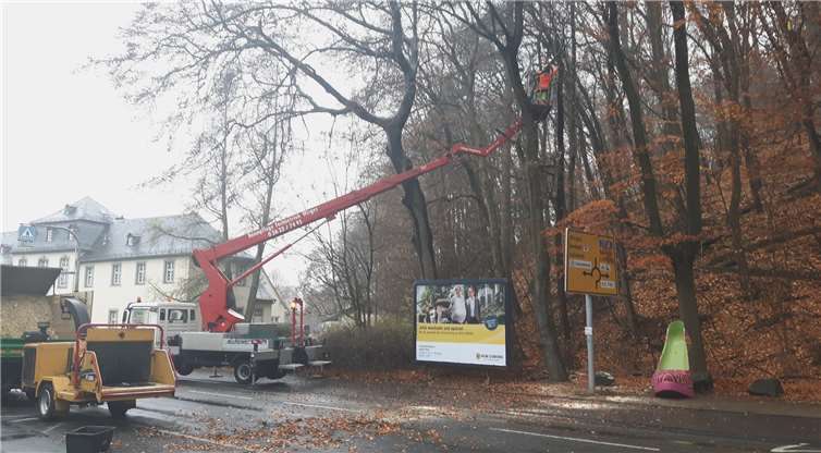 Am 27. Februar 2021 werden die jährlichen Baumpflegearbeiten am Schlossberg in Montabaur durchgeführt. Der mittlere Teil der Bahnhofstraße wird deshalb gesperrt. Foto: Archivbild VG Montabaur