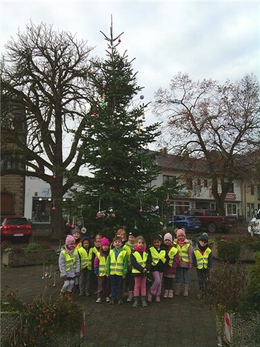 Am 27. November 2025 traf sich die kommunale Kita „Arche Noah“ zusammen mit der katholischen Kita St. Willibrord, stellvertretend mit einigen Kindern, mitten auf dem Dorfplatz, um mit vereinten Kräften den bestimmt größten Weihnachtsbaum von Plaidt zu schmücken. Foto: privat