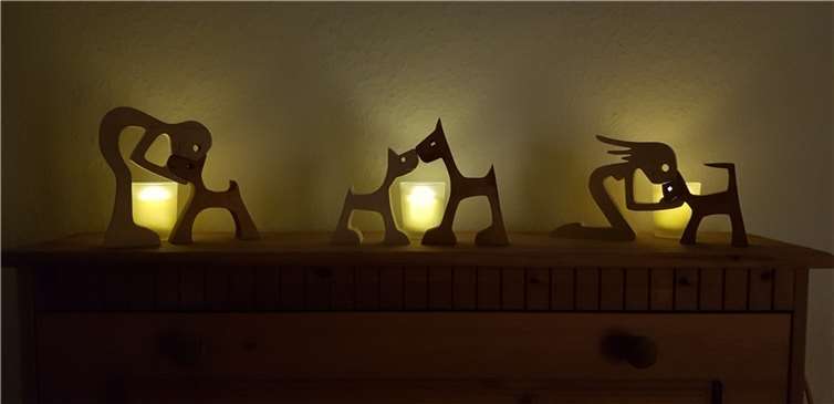 Am 28. Februar ein Licht für Tiere anzünden.  Foto: Tierschutz Siebengebirge