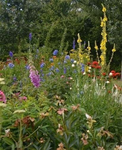 Am 29. Mai 2021 soll der Tag der „Offenen Gärten“ stattfinden. Foto: privat