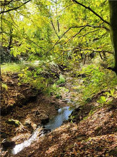 Am 3. Oktober gibt es geführte Touren durch das herbstliche Brexbachtal.  Foto: Stadt Bendorf