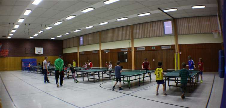 Am 4. September veranstaltet der TTC Buschhoven speziell für Anfänger mit und ohne Vorkenntnisse ein Schnuppertraining. Foto: privat