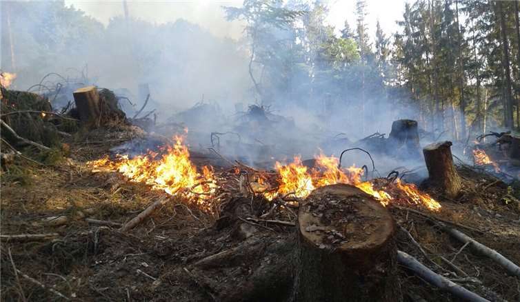 Am 4.Mai galt es einen circa 800 bis 1.000 Quadratmeter großen Flächenbrand in der Gemarkung Thalhausen/Kleinmaischeid zu löschen. Fotos: privat