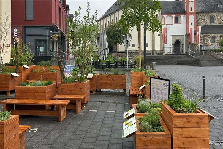 Am 9. Mai findet eine Pflanzentauschbörse in der Grünen Entdeckerlounge auf dem Bendorfer Kirchplatz statt.  Foto: Stadt Bendorf