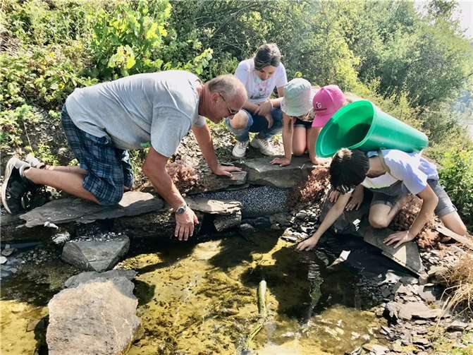Am Abschluss-Wandertag des Schuljahres besuchten die Schulkinder der Grundschule Müden das Naturschutzprojekt „Auf der Krabaun“ in Müden. Foto: privat