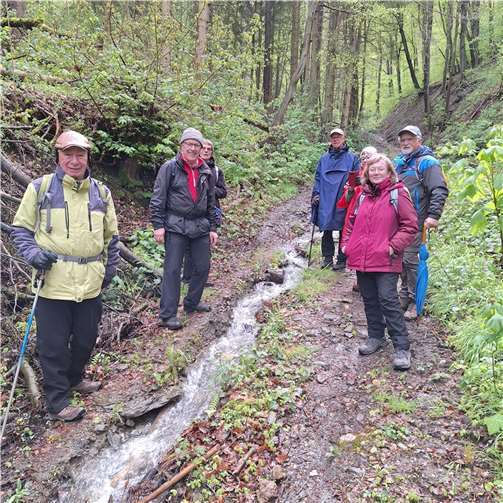 Am Bärenbach bei Rech.  Foto: privat