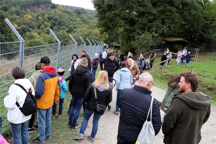 Attraktionen, Tiere und Pläne für die Zukunft Am Bärengehege war viel los.