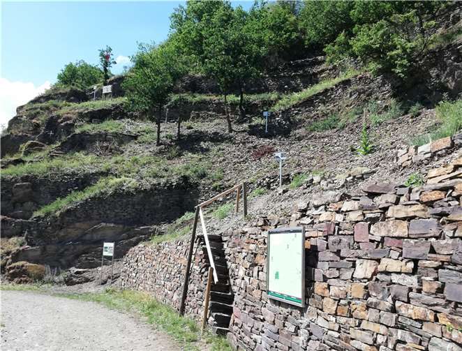 Am Buchsbaumpfad werden seit Jahresanfang alte, nicht mehr genutzte Naturschiefertafeln ausgelegt.