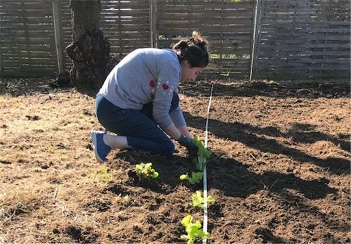 Am Ende des Vormittags war alles eingepflanzt.
