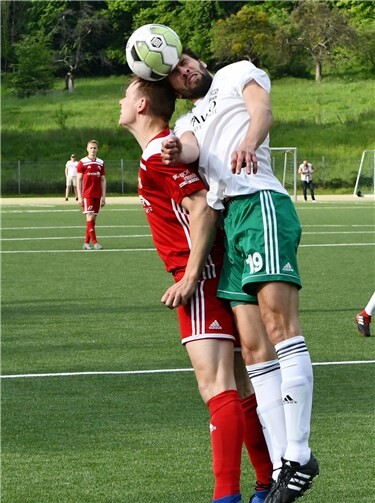 Am Ende hat das Kämpfen nicht für den Ligaerhalt gereicht.Fotos: RASCH
