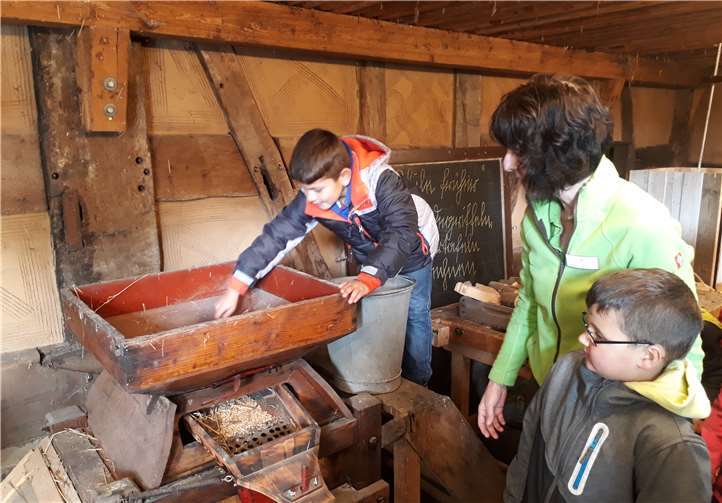 Am Familientag „Ernte früher“ im Landschaftsmuseum in Hachenburg kommen Groß und Klein auf ihre Kosten. Pressestelle der Kreisverwaltung