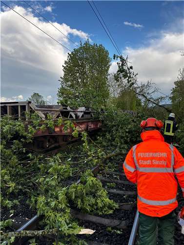 Am Grünen Weg fielen mehrere Bäume auf die Gleise und in die Oberleitungen der Deutschen Bahn, was zu einer Einstellung des Zugverkehrs führte.  Fotos: Feuerwehr Sinzig