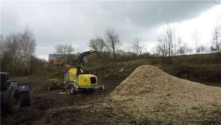 Am Heddesdorfer Berg haben die Rodungsarbeiten begonnen.Foto: privat