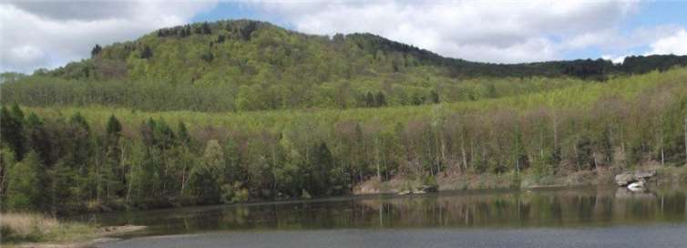 Am Krufter Waldsee werden am Vorabend vom Vatertag Väter und Kinder gesegnet. Privat