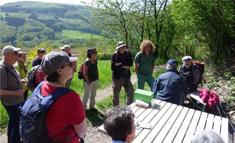 Am Lahnwanderweg und Premiumwanderweg Höhenluft informierte Iris Brahm die Wanderer über alte Obstsorten.