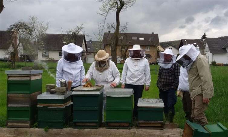Am Lehrbienenstand in Bad Bodendorf können interessierte Besucher jeden Samstag erfahrenen Imkern bei deren Arbeit über die Schulter sehen. privat