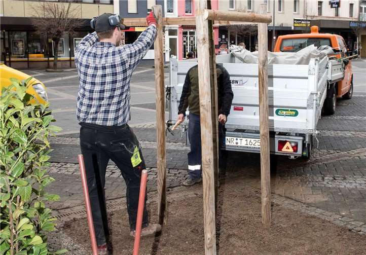 Am Luisenplatz wurden kürzlich bereits Baumscheiben verfüllt und gepflastert, jetzt kamen drei neue Bäume als Nachpflanzungen hinzu.Privat
