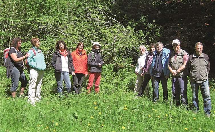 Am Mispelbaum auf dem Aremberg. privat