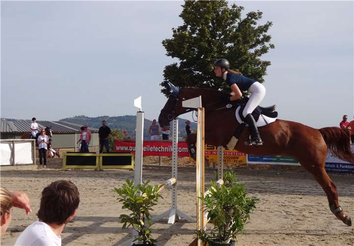 Am Nachmittag werden Springprüfungen angeboten. Foto:privat