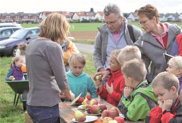 Am Probiertisch dürfen die Kinder nach ihrem Lieblingsapfel suchen. privat