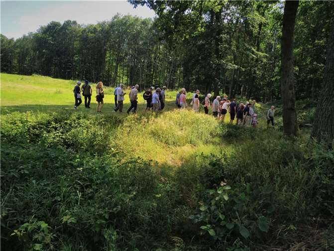 Am Samstag, 9. Juli, können Interessierte das keltische Heiligtum besichtigen.  Foto: W. Oster