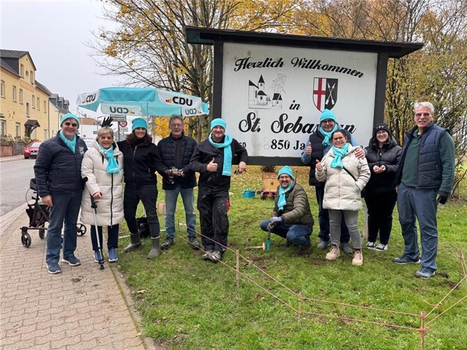 Am Samstag, den 08.11.2025 hat der OV CDU St. Sebastian ganze 500 Tulpenzwiebeln gesetzt. Foto: privat