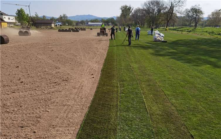 Am Samstag nun wurden einige 1000 Quadratmeter feinster Rollrasen angeliefert, der von der Fachfirma und vielen Helfern des TV auch direkt eifrig verlegt wurde. Foto: BL