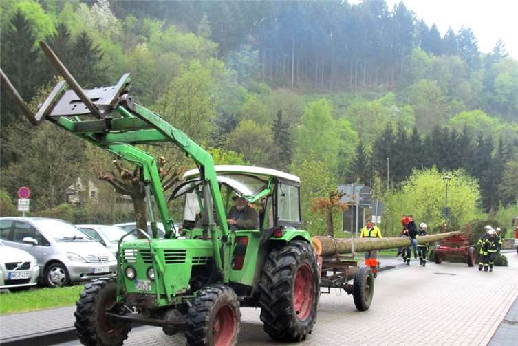 Am Samstag wird wieder der Kirmesbaum nach Sayn transportiert.Archiv Peter Siebenmorgen