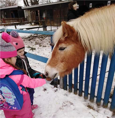 Am Schwanenteich konnten die Kinder die selbst gebackenen Pferdekekse verfüttern.Fotos: privat