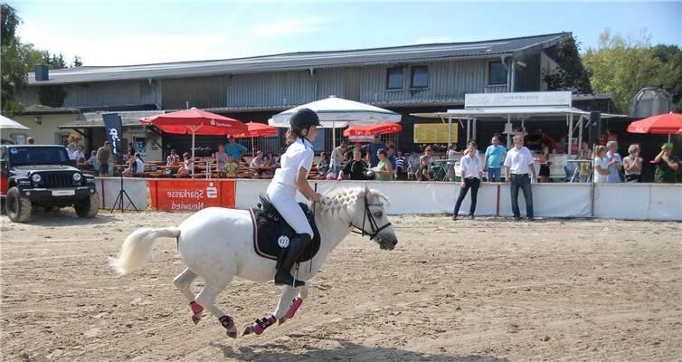 Am Sonntag, 13. Oktober, finden auf dem großen Außenplatz des Reitvereins Dierdorf Spring- und Dressurprüfungen mit unterschiedlichen Anforderungen statt.Foto: privat